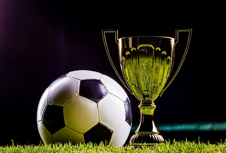 置豪华别墅 置豪华别墅