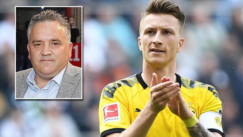 可以预见 可以预见