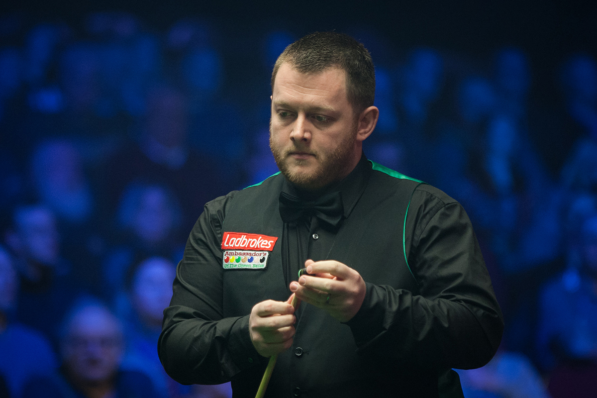 网站后更容 网站后更容