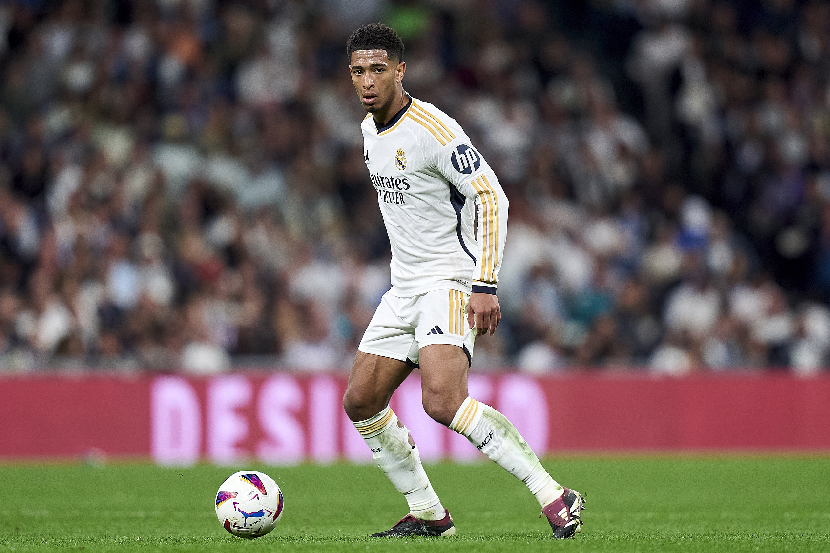 点燃绿茵生 点燃绿茵生